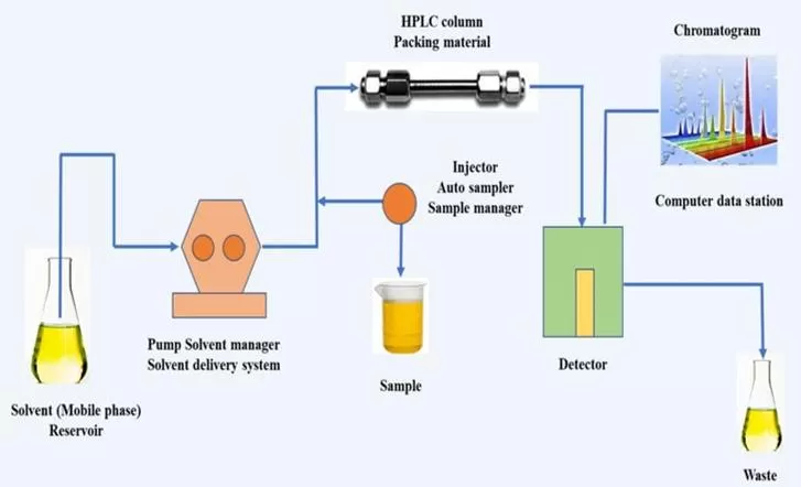 Schematic Representation of High-Performance Liquid Chromatography